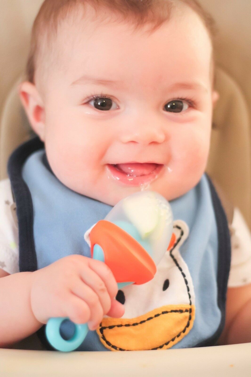 boon pulp baby feeder