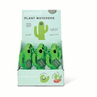 Annabel Trends Sprout Plant Waterers - Cactus - Counter Pack of 15