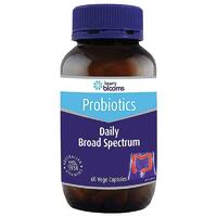 Henry Blooms Adults Daily Broad Spectrum Probiotic 60 Capsules Digestive Balance