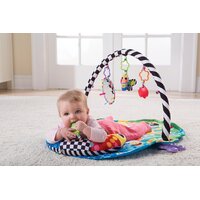 Lamaze Freddie the Firefly PlayGym 3 different positions